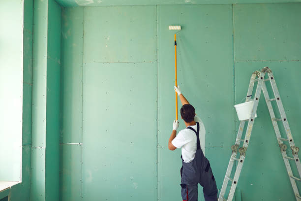 Trusted Howe, TX Mold Removal Experts