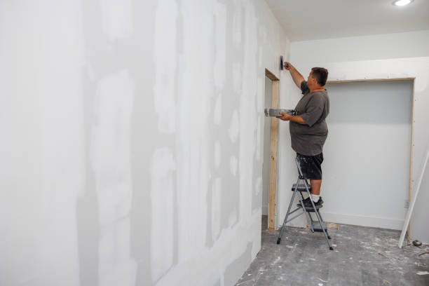 Best Attic Mold Removal  in Howe, TX
