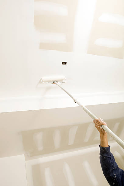 Best Post-Construction Mold Inspection  in Howe, TX